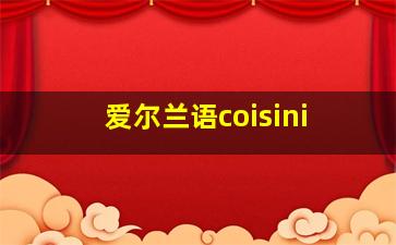 爱尔兰语coisini