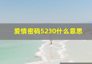 爱情密码5230什么意思