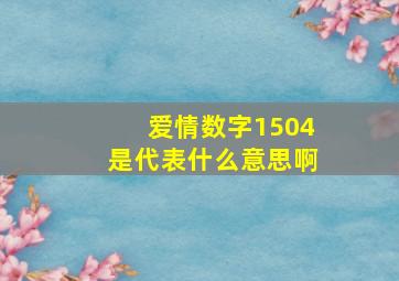 爱情数字1504是代表什么意思啊