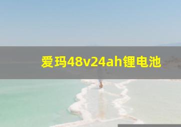 爱玛48v24ah锂电池