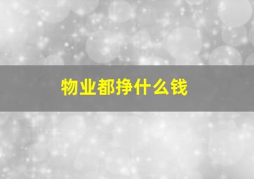 物业都挣什么钱