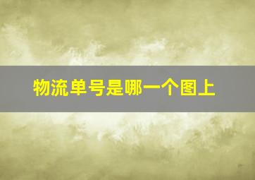 物流单号是哪一个图上