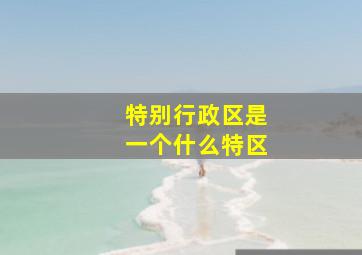 特别行政区是一个什么特区