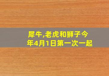 犀牛,老虎和狮子今年4月1日第一次一起