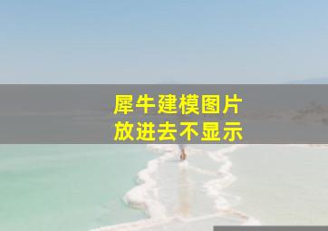 犀牛建模图片放进去不显示