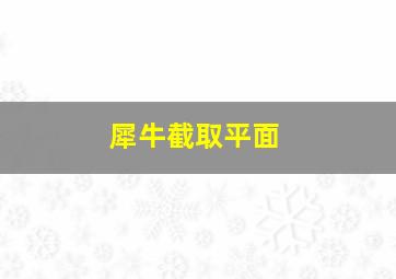 犀牛截取平面