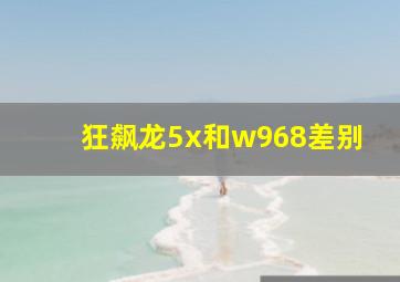 狂飙龙5x和w968差别