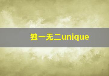 独一无二unique