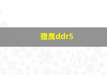 猎鹰ddr5