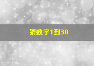 猜数字1到30