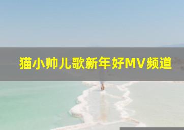 猫小帅儿歌新年好MV频道