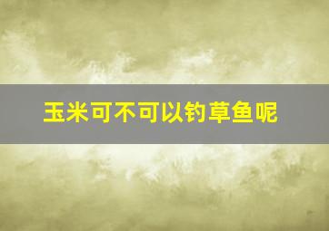 玉米可不可以钓草鱼呢