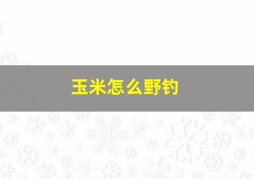 玉米怎么野钓