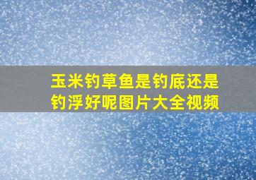 玉米钓草鱼是钓底还是钓浮好呢图片大全视频