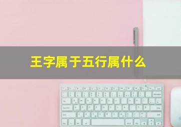 王字属于五行属什么