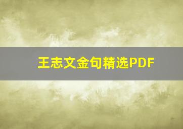 王志文金句精选PDF