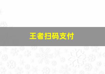 王者扫码支付