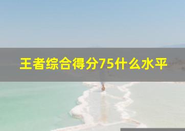 王者综合得分75什么水平