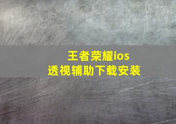 王者荣耀ios透视辅助下载安装