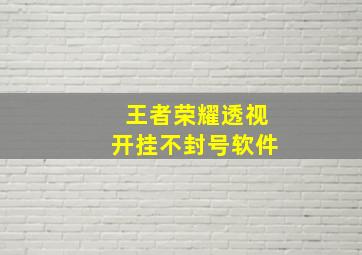 王者荣耀透视开挂不封号软件