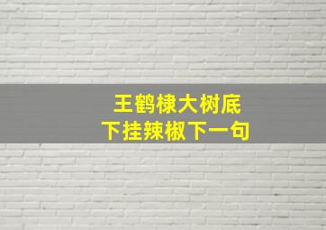 王鹤棣大树底下挂辣椒下一句