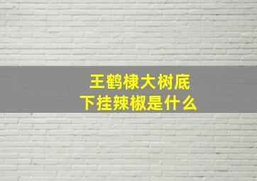 王鹤棣大树底下挂辣椒是什么