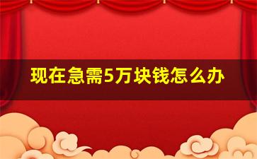 现在急需5万块钱怎么办