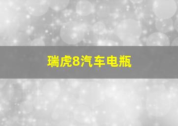 瑞虎8汽车电瓶