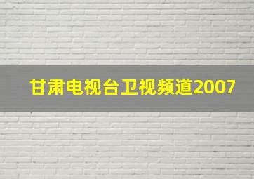 甘肃电视台卫视频道2007