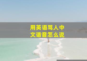 用英语骂人中文谐音怎么说