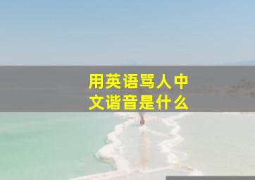 用英语骂人中文谐音是什么