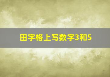 田字格上写数字3和5