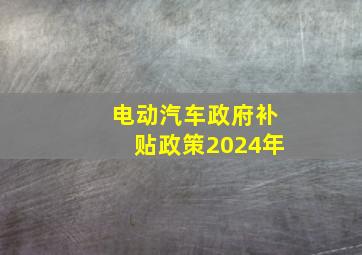 电动汽车政府补贴政策2024年