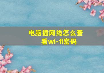 电脑插网线怎么查看wi-fi密码