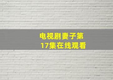 电视剧妻子第17集在线观看