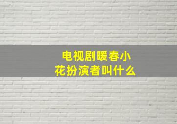 电视剧暖春小花扮演者叫什么