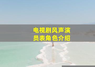 电视剧风声演员表角色介绍