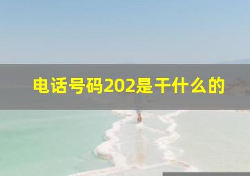 电话号码202是干什么的