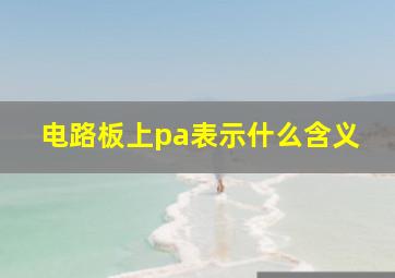 电路板上pa表示什么含义