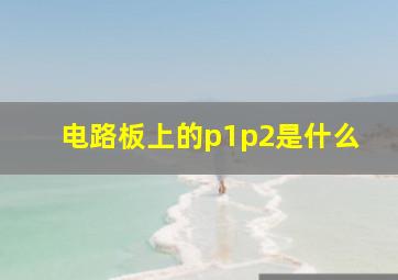 电路板上的p1p2是什么