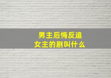 男主后悔反追女主的剧叫什么