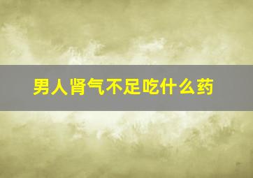 男人肾气不足吃什么药