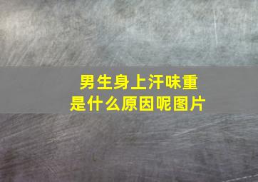 男生身上汗味重是什么原因呢图片