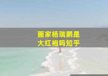 画家杨瑞鹏是大红袍吗知乎