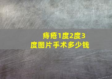 痔疮1度2度3度图片手术多少钱