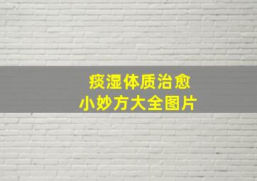 痰湿体质治愈小妙方大全图片