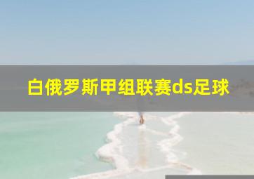 白俄罗斯甲组联赛ds足球