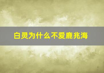 白灵为什么不爱鹿兆海