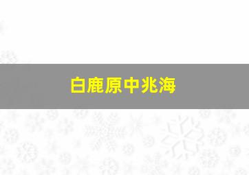 白鹿原中兆海