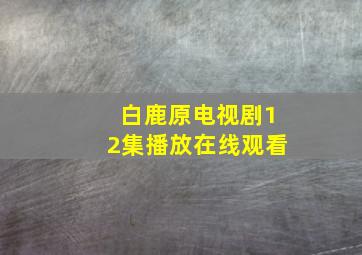 白鹿原电视剧12集播放在线观看